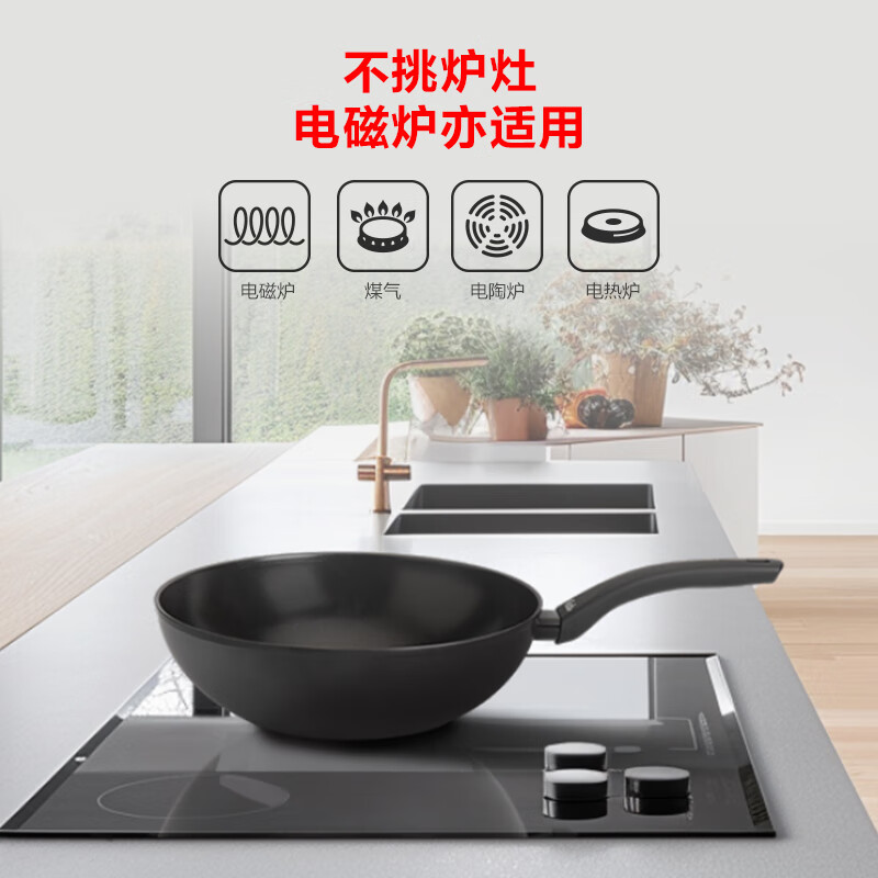 Fissler菲仕乐食色系列20厘米铸铁锅EMP-C202N002R高清大图