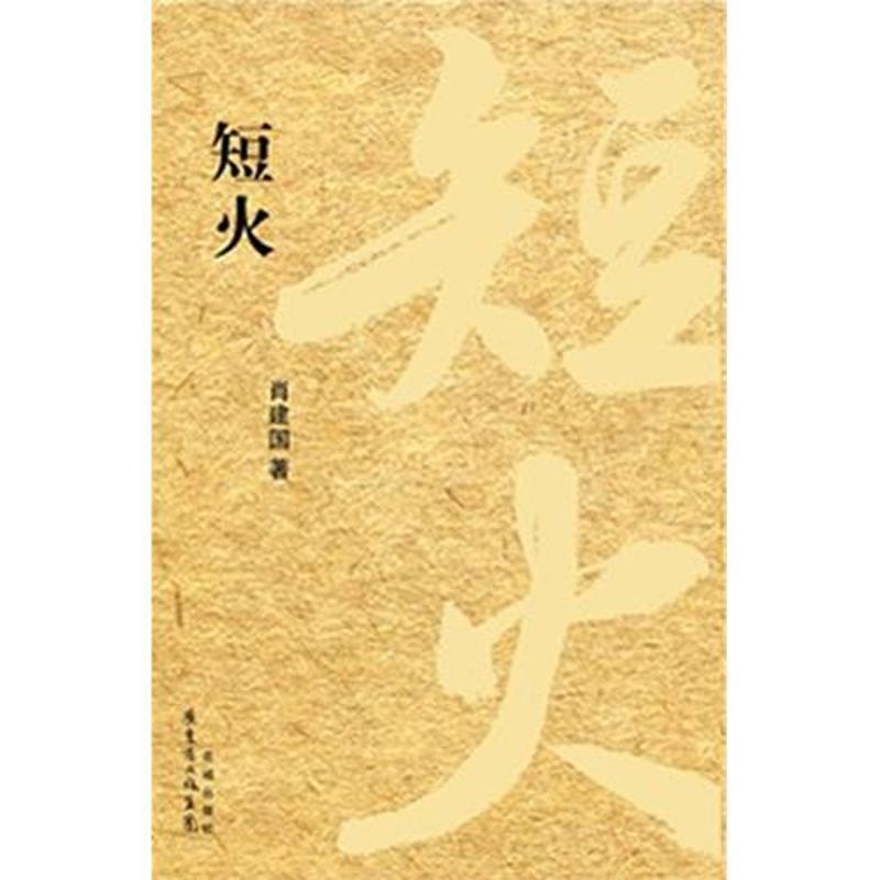正版新书]短火肖建国9787536063525高清大图