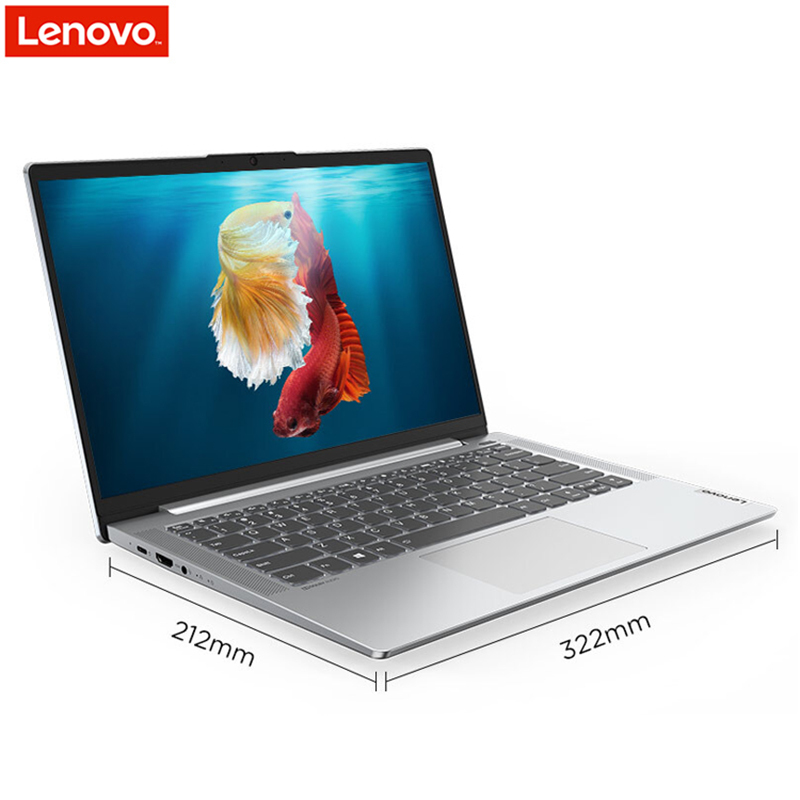 联想(Lenovo)小新Air14-2020 14英寸笔记本电脑(I5-1035G1 16GB 512GB固态 MX350 2G显卡 100%色域)银