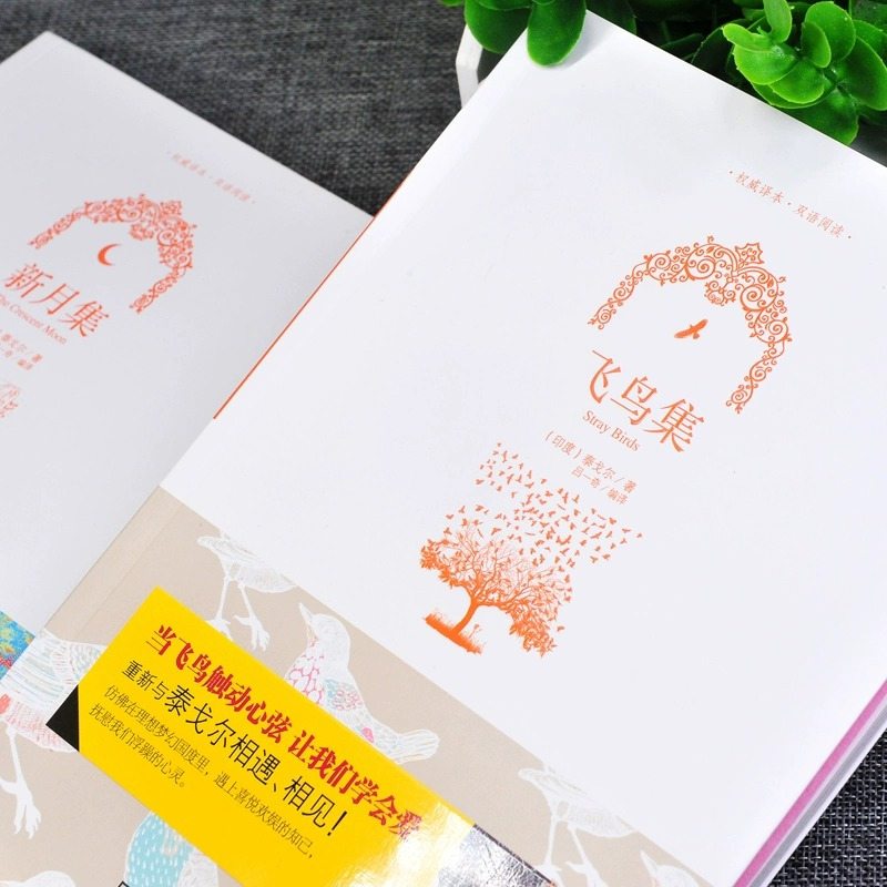 [正版]全6册 新月集+飞鸟集+园丁集+吉檀迦利+十四行诗+雪莱诗集 彩图双语版泰戈尔著小学生课外阅读书籍诗选散文诗集