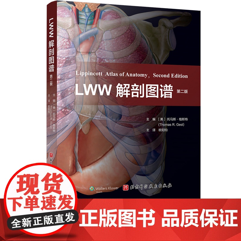 LWW解剖图谱 第2版 丰富了头部五官和颅内解剖的内容 更新了300余幅图片 电脑绘图精细展现深浅层关系 并增加肌肉功能高清大图