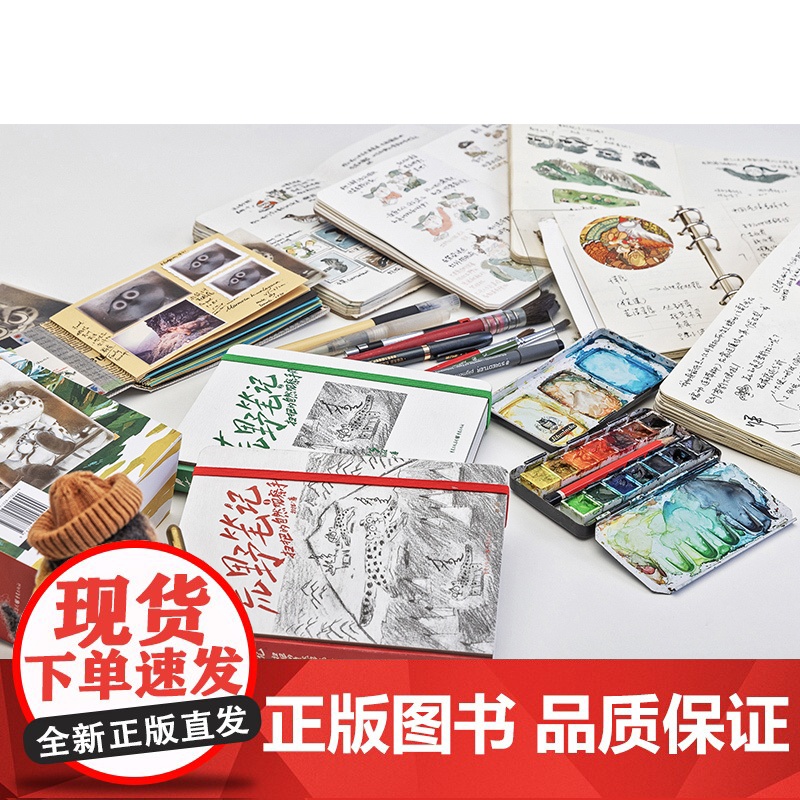 荒野笔记 扫把的自然观察手账 扫把 著 手绘插画集摄影地理自然动植物风景书籍 绘画 保护大自然环境珍爱生命守护动物书籍高清大图