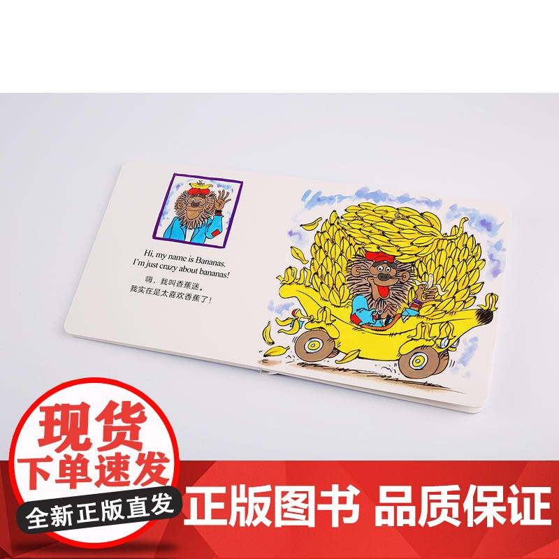 乖乖猪和皮皮猪高清大图