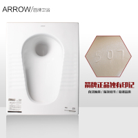 箭牌 （ARROW） 厕所蹲坑 陶瓷主体蹲便器水箱套装防臭马桶便池 含塑料水箱 可选存水弯ALD507