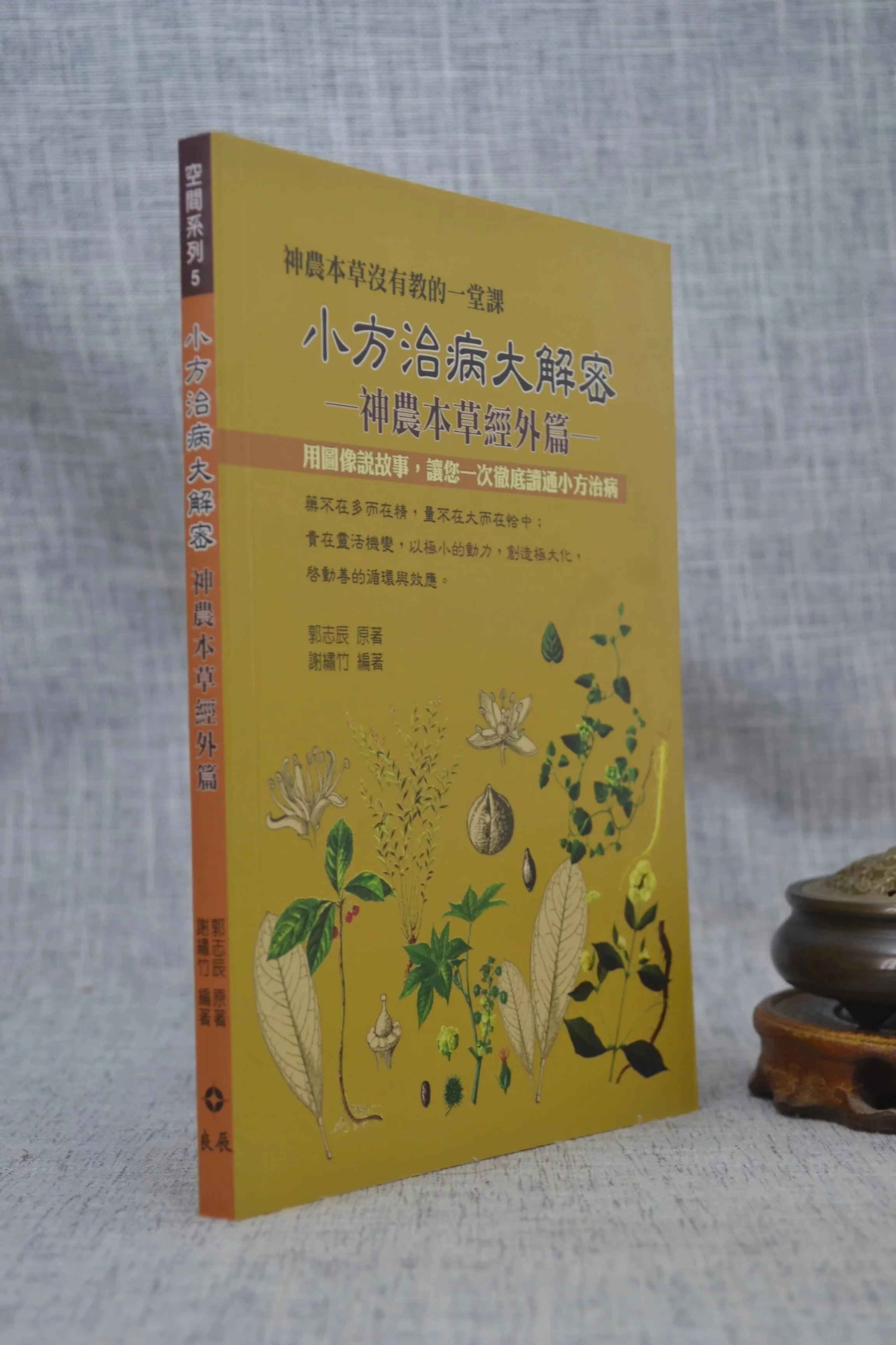 正版 小方治病大解密 郭志辰原著 谢绣竹编 良辰