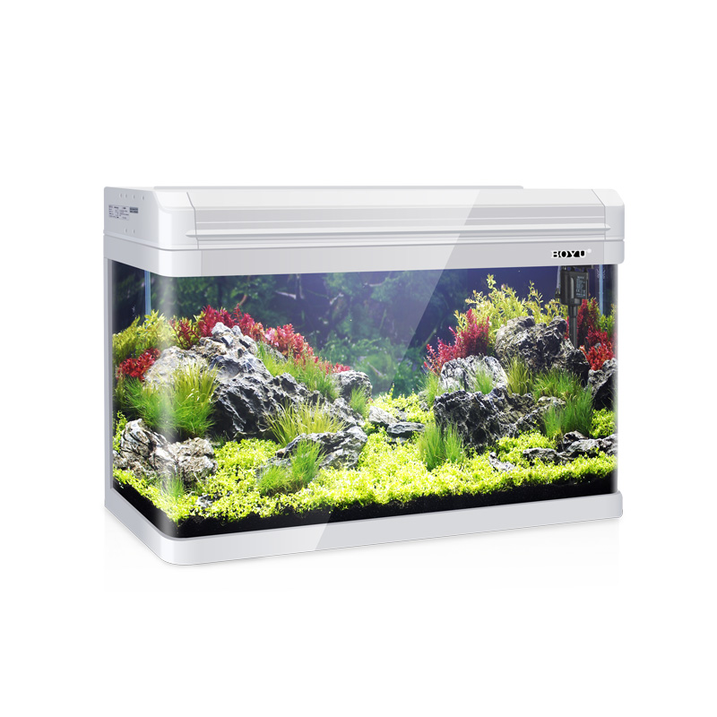 鱼缸水族箱中型生态热弯玻璃造景家用客厅大型金鱼缸60-120cm高清大图