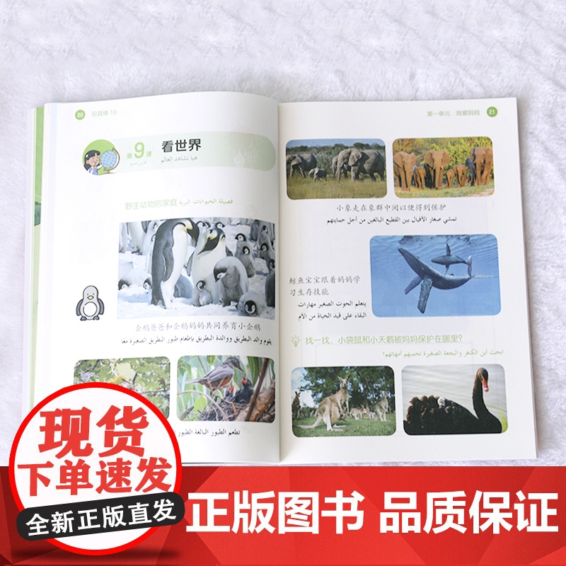 [外研社]你真棒1B 阿拉伯语注释小学中文教材高清大图