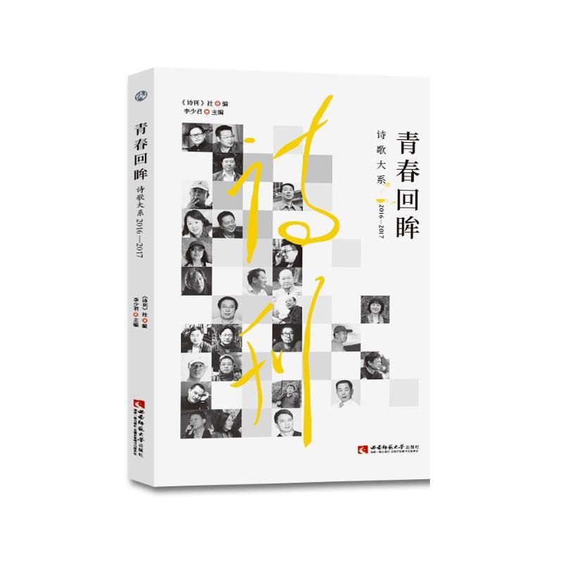 正版新书】青春回眸诗歌大系 2016—2017《诗刊》社编李少君 主编
