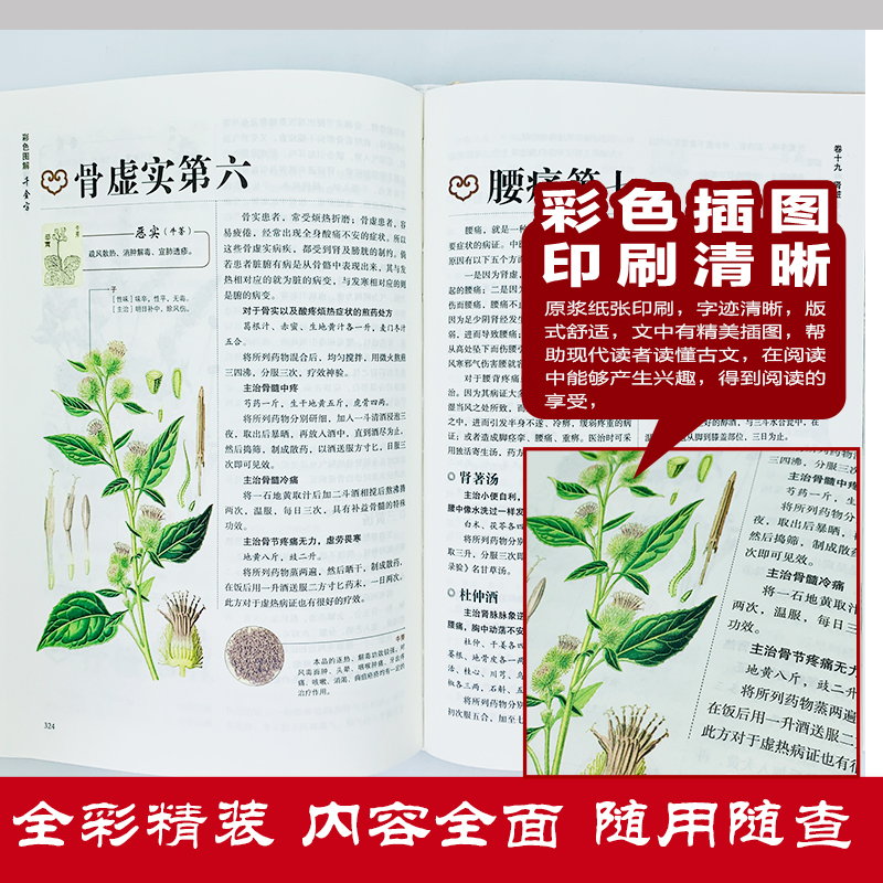 [正版]全套5册黄帝内经全集千金方神农本草经汤头歌诀本草纲目原版李时珍精装彩图中药养生中草药配方大全中医入门零基础学理高清大图