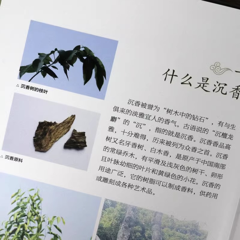 [正版]精装彩图版沉香鉴藏全书沉香鉴定收藏书籍全面介绍沉香的辨伪收藏投资鉴赏等内容陈乃明鉴定选购保养实用知识入门古玩古高清大图