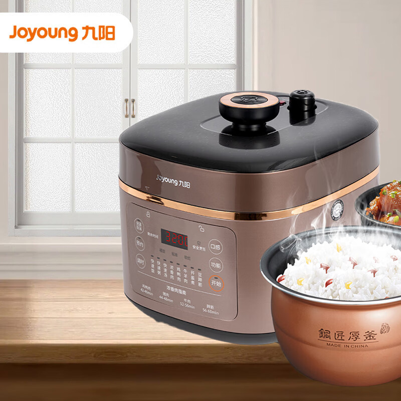 九阳电压力煲(双胆)Y-50S63电饭煲