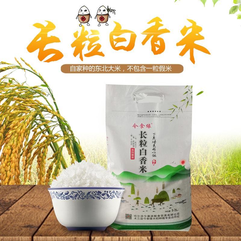 WQSC今食缘 东北长粒白香米【绿色食品】5KG