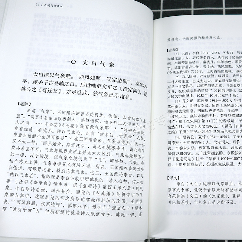 [正版]人间词话译注精中国古代名著全本译注丛书王国维施议对上海古籍出版社中典古诗词词论扛鼎之作国学古籍中国古诗词文学人间