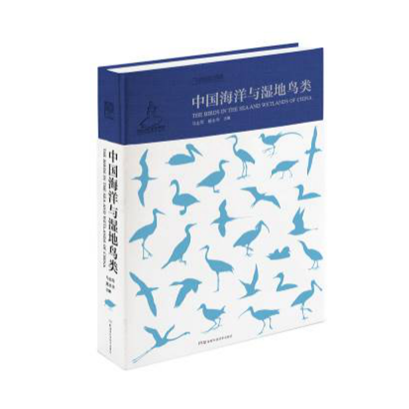【M】中国中国海洋与湿地鸟类-9787535796066