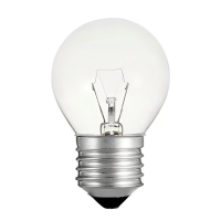丹琥泰 DHT-DP04 25W 暖光3000K E27螺口 27mm 灯泡（计价单位：个）透明色