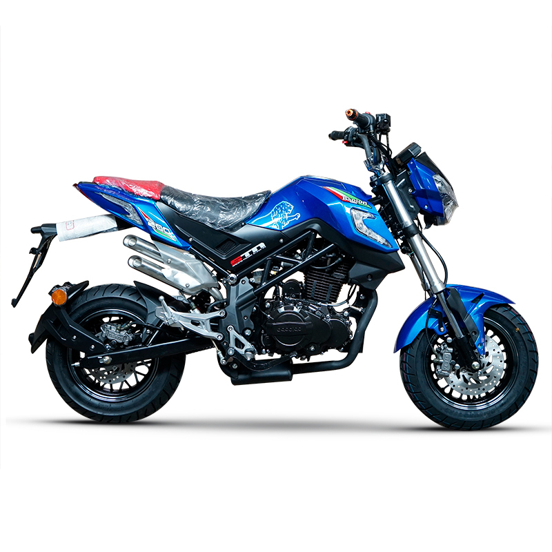 风感觉国四摩托车跑车宝雕小暴龙200cc小怪兽街车特技公路赛机车可