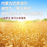 七河源雪花小麦粉20斤 内蒙古平原硬麦
