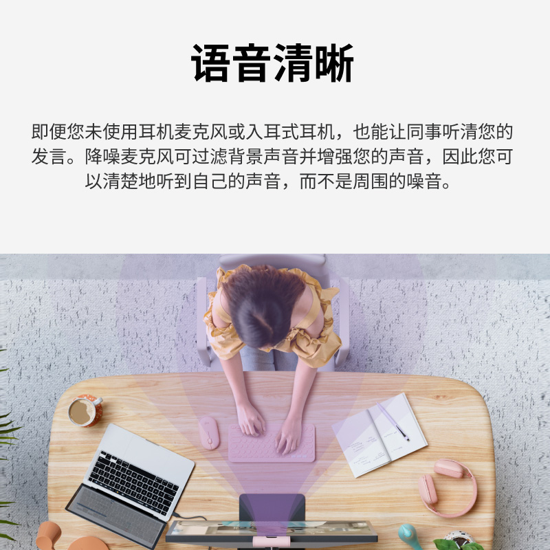 罗技BRIO 500高清网络会议直播摄像头自动取景真实降噪麦克风-太空银高清大图