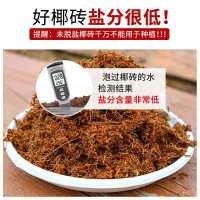 [补贴10%]椰砖营养土养花种菜通用型大块脱盐多肉椰土壤椰糠粗椰壳种植椰子