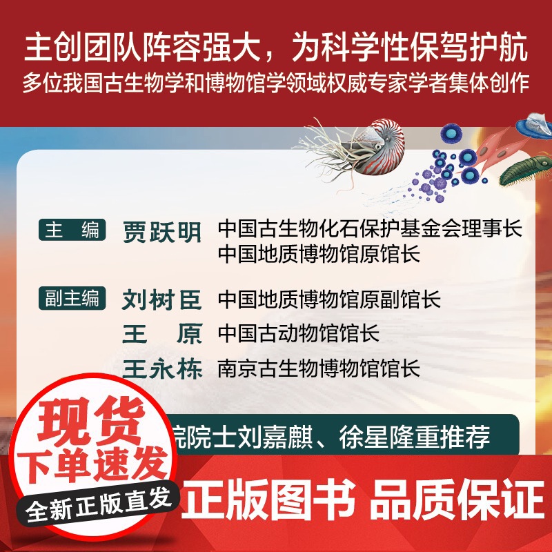 生命简史 穿越地球46亿年 前寒武纪 奥陶纪 6-12-15岁儿童中小学生青少年科普读物 宇宙起源地球形成生命诞生史前世高清大图
