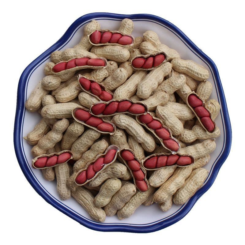 带壳花生]20年四粒红红皮花生米铁锅炒熟花生带壳小粒四粒红种子图片