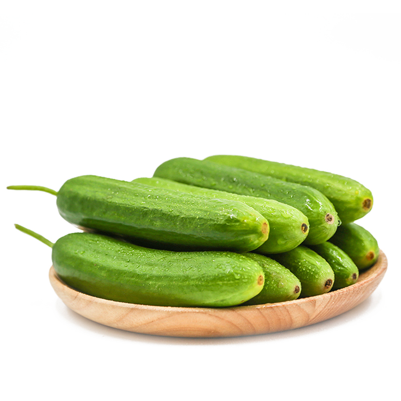 湛航茄果瓜类报价_参数_图片_视频_怎么样_问答-苏宁易购