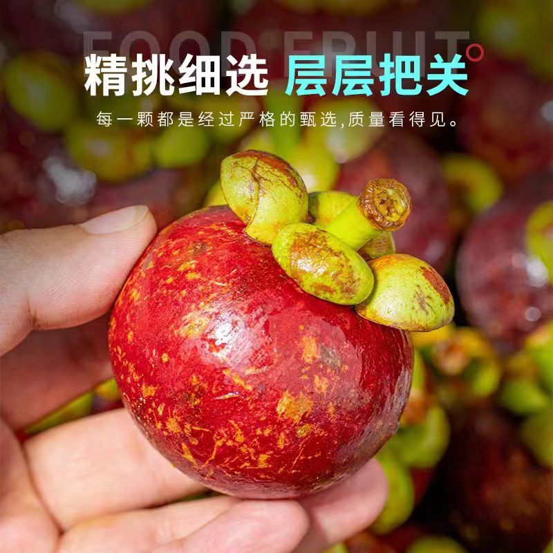 泰国山竹 3斤/5斤 5A高品质果 新鲜大果 破损赔付