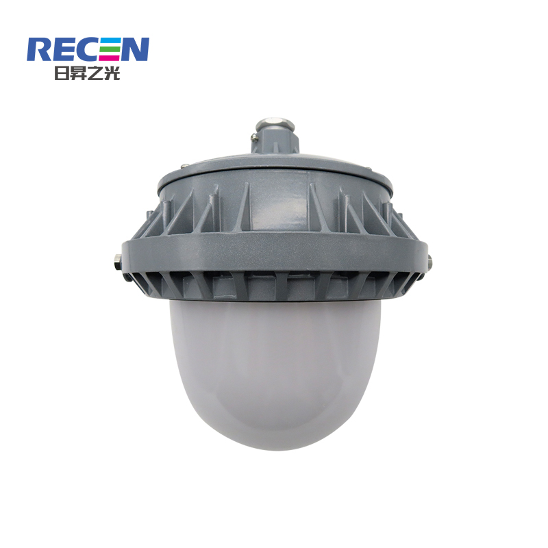 RECEN RGPL220 50W 固定式LED灯具 个高清大图