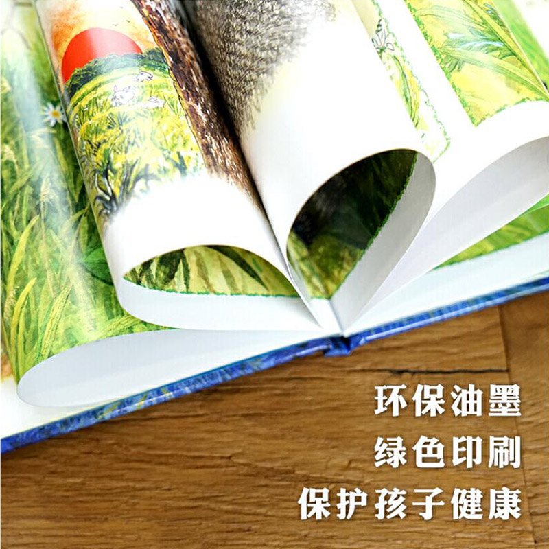 魔法亲亲 硬壳精装 [正版]魔法亲亲硬壳精装绘本幼儿园入学准备图画书适合3岁4岁5岁6岁早教情商启蒙亲子阅读童书缓解儿童高清大图