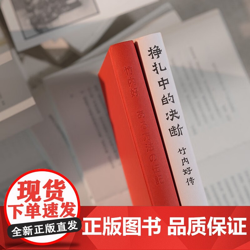 挣扎中的决断 竹内好传 鹤见俊辅 著 哲学高清大图