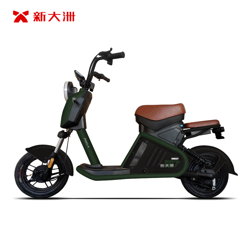 派乐palla007新国标48v24ah可提锂电电动自行车长续航潮酷时尚成人