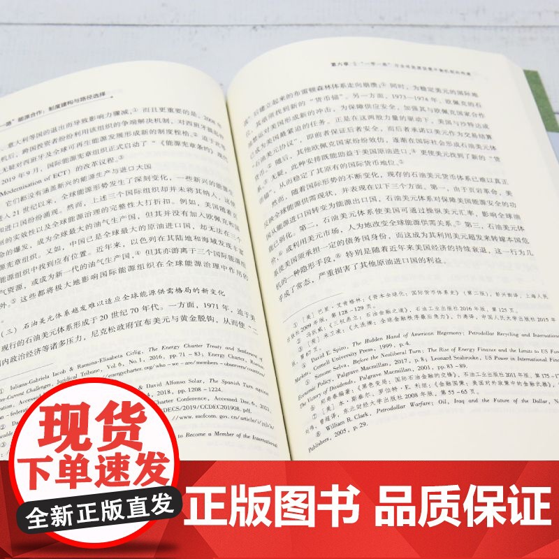 “一带一路”能源合作:制度建构与路径选择高清大图