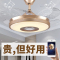 风扇灯蓝牙音乐纳丽雅音响电扇灯带风扇吊灯餐厅吊扇灯家用餐厅客厅 A款-变频36寸三色光遥控