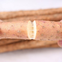 强于 人工手选75cm新鲜沙土铁棍山药5斤装 怀山药铁杆山药生鲜蔬菜