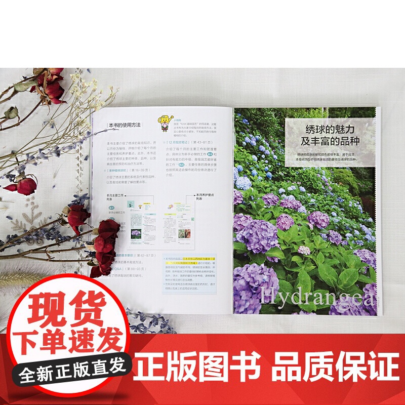 绣球12月栽培笔记 正版书籍高清大图