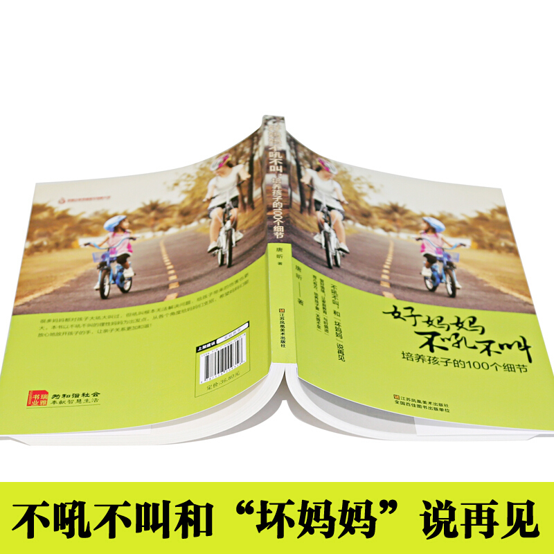 好妈妈不吼不叫培养孩子的100个细节 0-12岁家庭教育儿百科全书亲子幼儿教育儿童心理学书籍正面管教