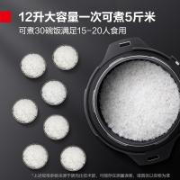 德玛仕(DEMASHI)商用电压力锅 大容量电高压锅 特大号电饭锅电饭煲YBD12-135(12L高压焖炖)