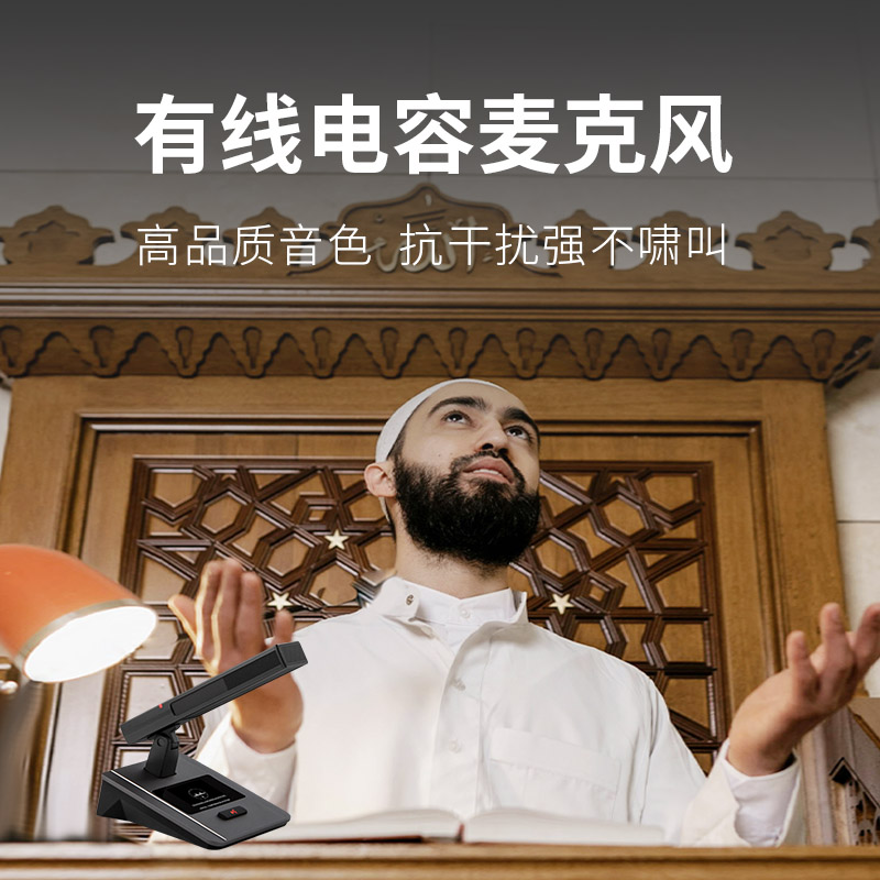 润普Runpu 会议音频扩声系统 专业有线电容麦克风会议话筒 会议演讲主持鹅颈麦RP-S-DYX511高清大图