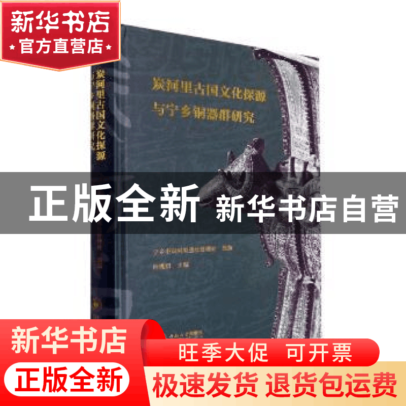 正版 炭河里古国文化探源与宁乡铜器群研究 向桃初主编 中南大学图片