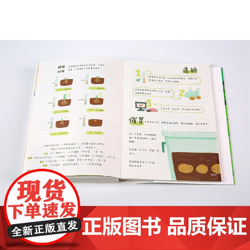 天台饲养间 云朵工厂 著 教你从零开始学会照料植物 轻松养好植物的简指南 中信出版社图书 正版书籍高清大图