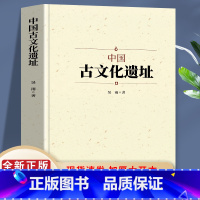 【正版】中国古文化遗址 通过现代科技考古方法从而发现远古人们的各种信息 这是伟大的知识宝库 让我们可以窥探历史的走向中