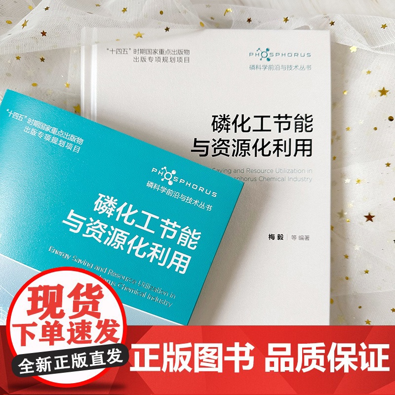 磷科学前沿与技术丛书 磷化工节能与资源化利用 磷化工节能与资源化利用关键技术 黄磷生产工艺 黄磷尾气资源化利用 磷化工参高清大图