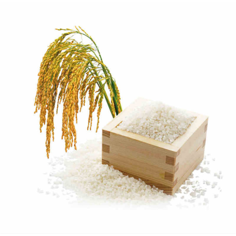 江苏乡村振兴财政集采沭阳虞美人稻花清香大米10kg一件代发