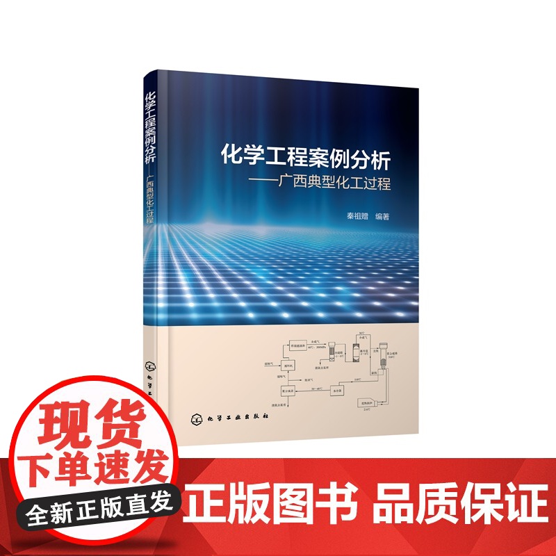 化学工程案例分析 广西典型化工过程 秦祖赠 化工类本科研究生工程技术人员学习书 淀粉加工制糖锰矿加工肉桂油生产化工过程参高清大图