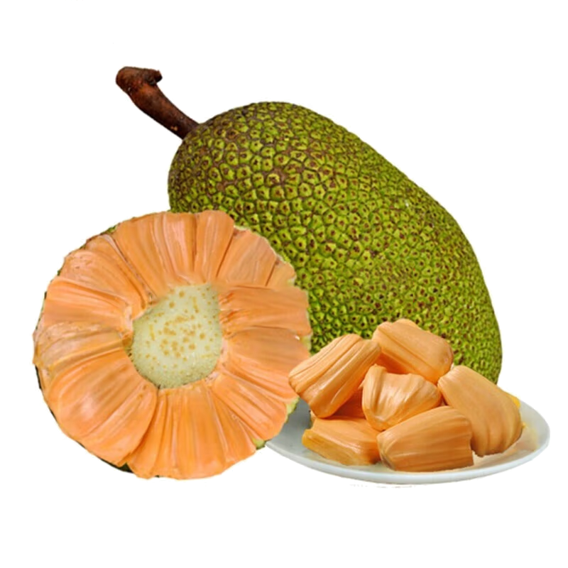 [一贤生鲜]海南红肉菠萝蜜 1个 20-23斤装 新鲜水果 甜美可口 西沛