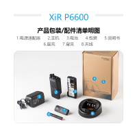 摩托罗拉(MOTOROLA) XIR P6600i 数字对讲机403-527MHZ 大功率手台 黑色