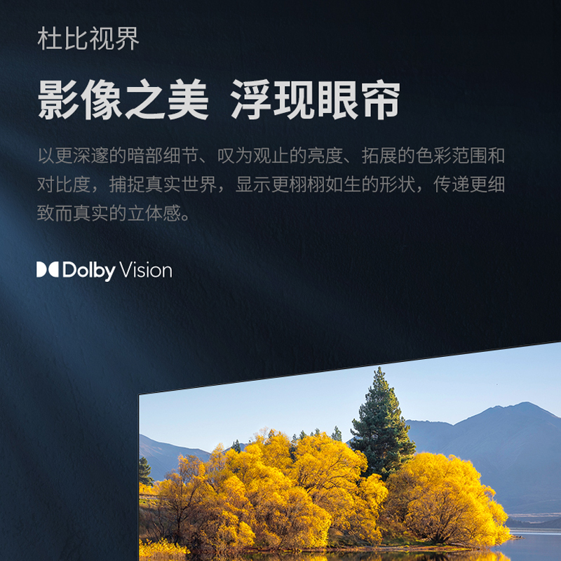 夏普(SHARP) 4T-C65GM6000A 65英寸4K护眼语音智能全面屏120HZ高刷3+64G网络液晶电视机高清大图