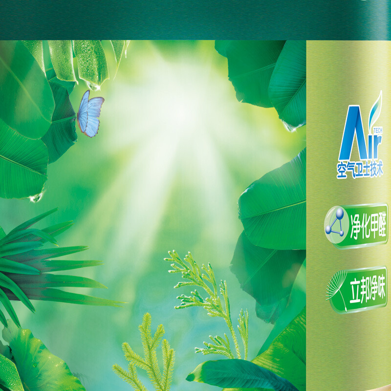 Zs-立邦漆 竹炭抗甲醛净味五合一套装乳胶漆内墙漆墙面漆 15L
