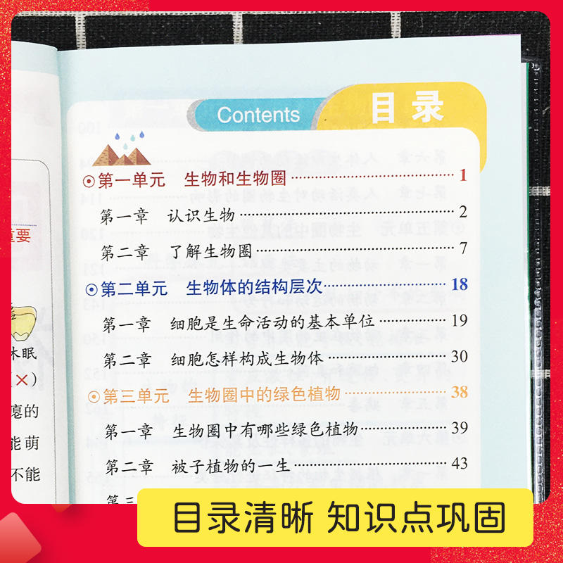 [同步词汇]-英语 初中通用 [正版]2024新版图解速记初中语文数学英语物理化学生物地理 初中上册下册基础复习强化训练高清大图