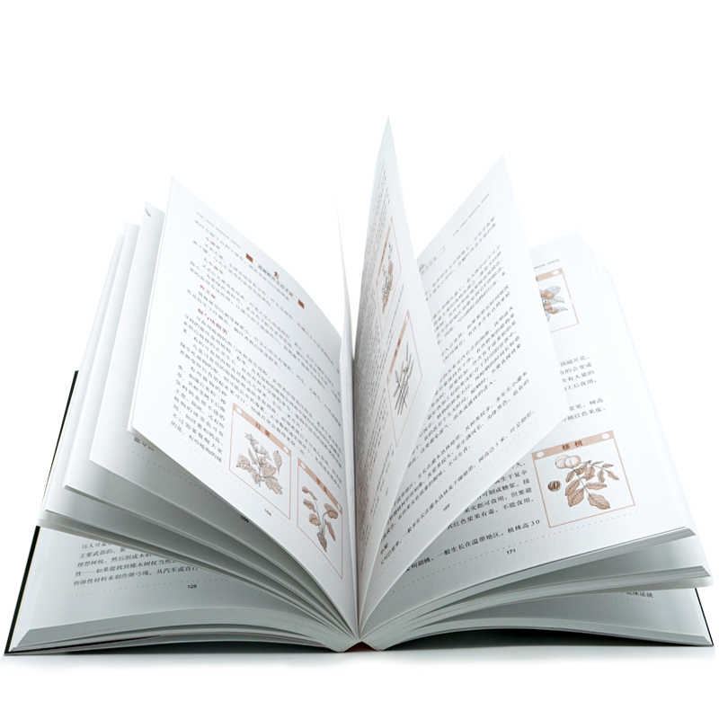 [正版] 图解野外生存手册 荒野求生户外生存知识旅行图书籍 教你学会在各种险恶处境中的求生之道 一看就懂一学就会的野外高清大图